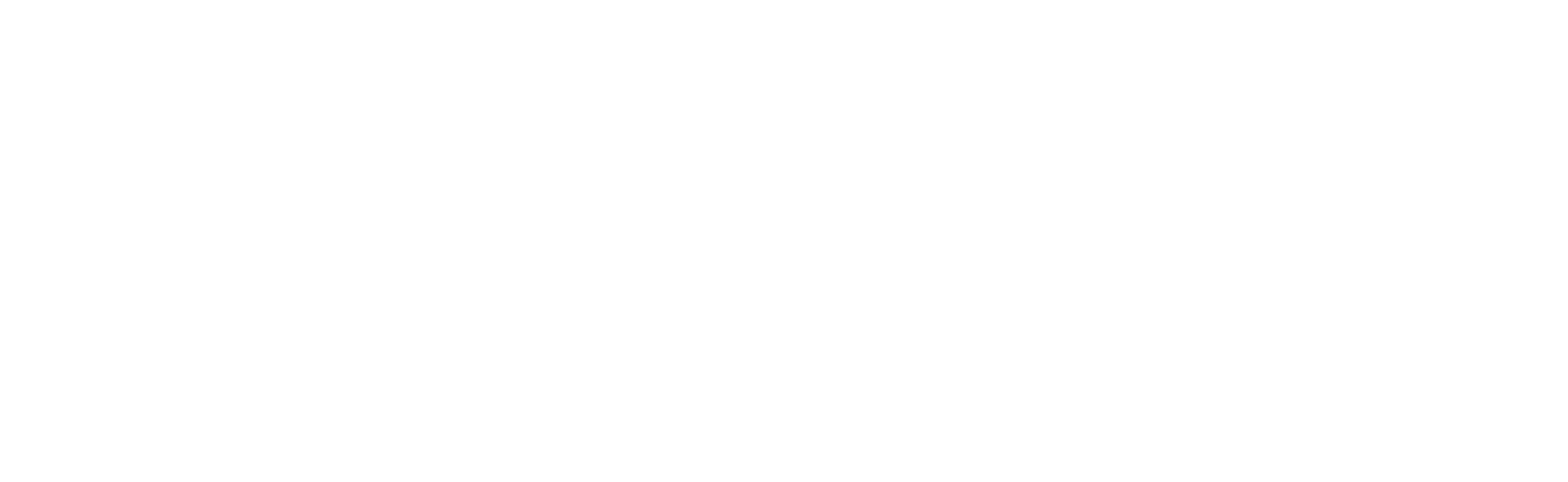 Landmark Survey Consultancy